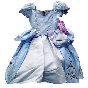 Disney princess costume. Cinderella